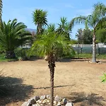 بيت للعطل La Casetta Nel *